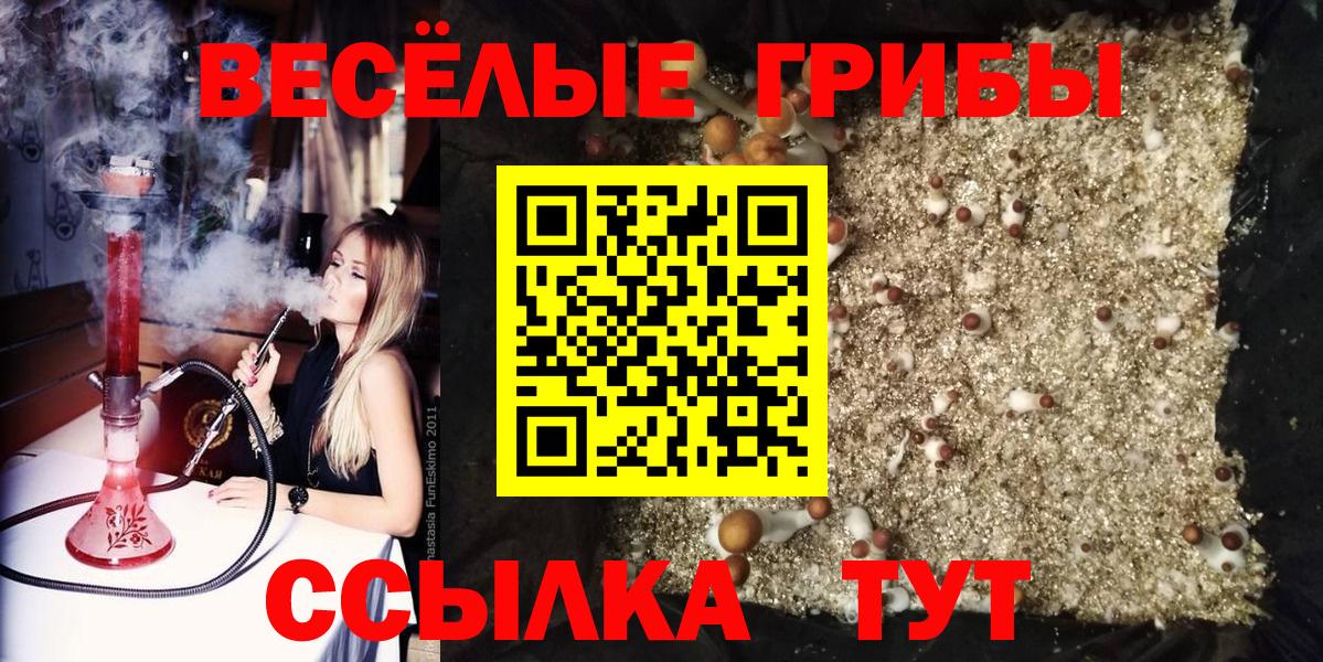 Псилоцибиновые грибы ЛСД  Галлюциногенные грибы MAGIC MUSHROOMS  Кубинка  Вход с VPN 